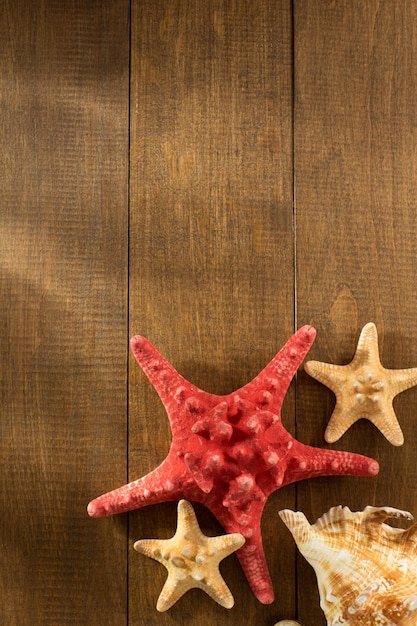 Seashell on wooden background texture