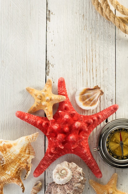 Seashell  on wooden background