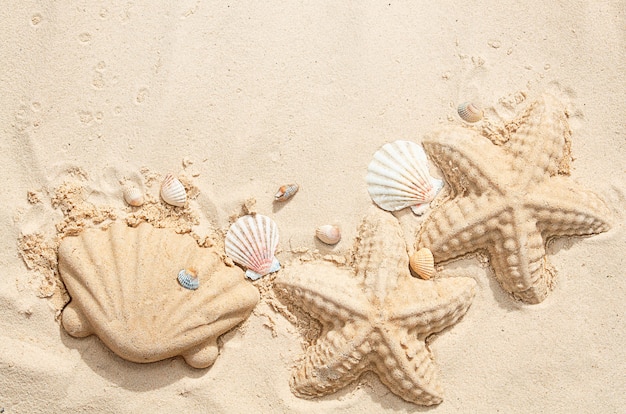 Photo seashells are made of sand