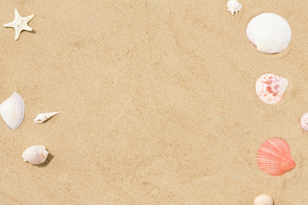 Foto conchiglie sulla sabbia della spiaggia