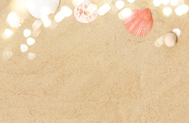 Photo seashells on beach sand