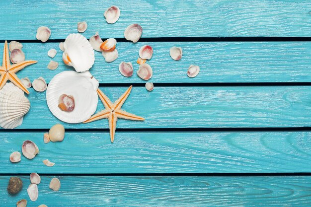 Seashells On Blue Wooden Background with place for text