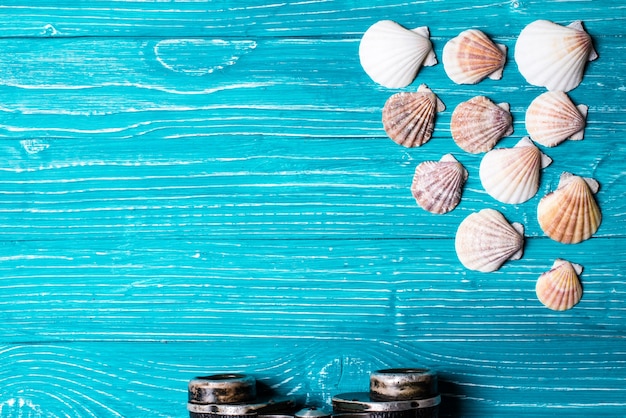 Seashells on blue wooden background