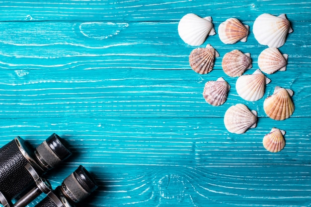 Seashells on blue wooden background