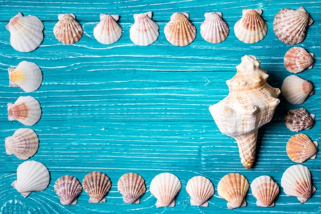 Seashells on blue wooden background