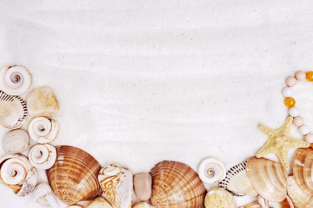 Seashells border on white fine sand, Summer background.