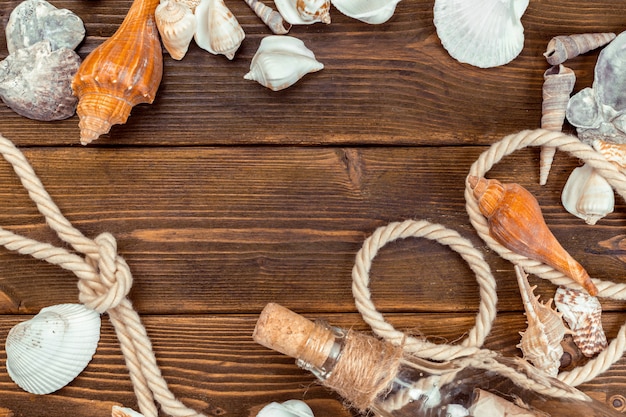 Photo seashells border on wood.