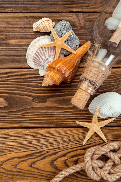 Seashells border on wood. 