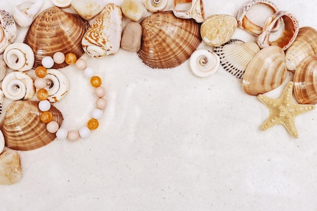 Seashells and bracelet made of beads on white sand. Summer concept. Frame from seashells