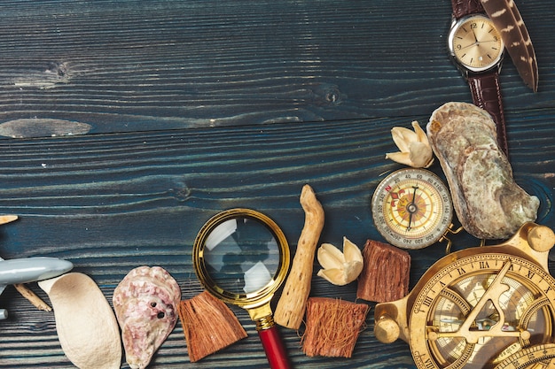 Seashells and compass background