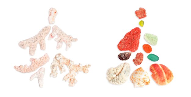 Seashells, corals and pebbles in the form of Christmas trees