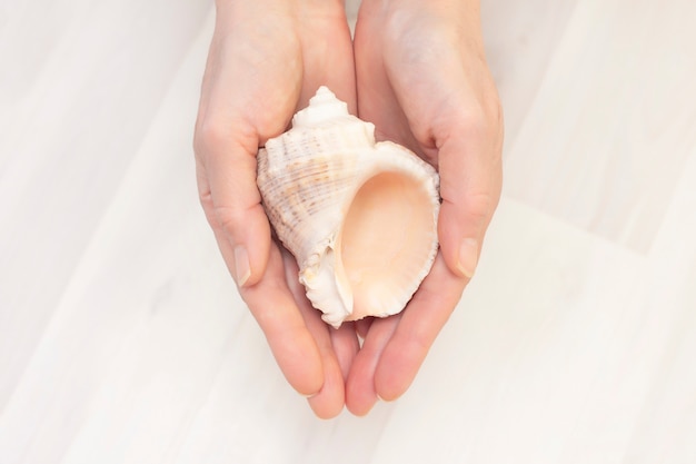 Seashells in hands in the shape of a heart on a wooden light background. The concept of love for travel and vacation.