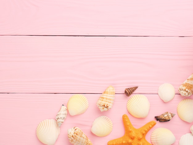 Seashells lie on a pink wood background Copy space