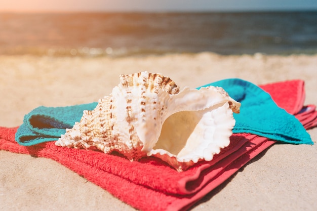 Seashells oncolorful towels on beach at sea shore. Bright outside. Paradise.