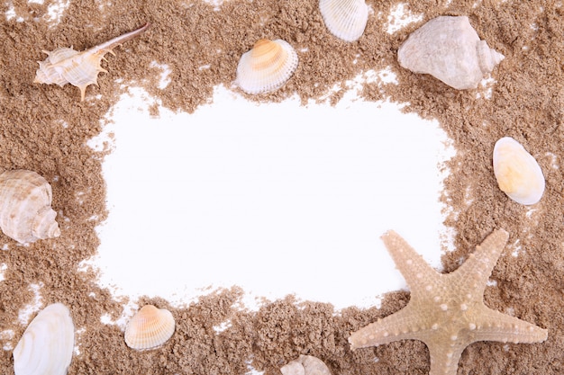 Seashells on pile of sand isolated over white, frame