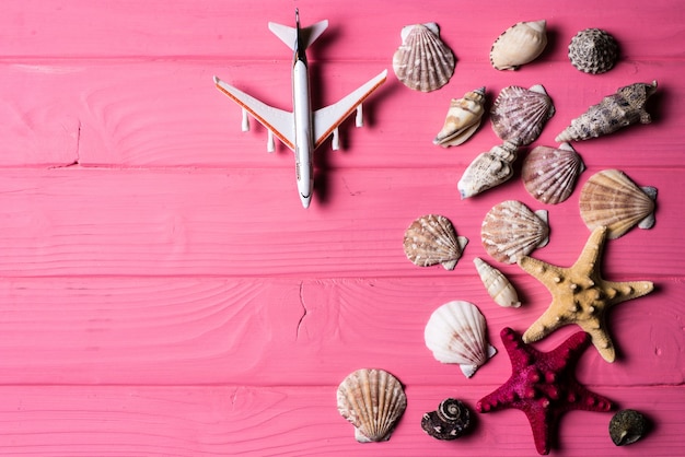 Seashells on pink wooden background