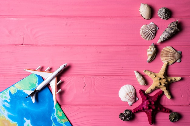 Seashells on pink wooden background