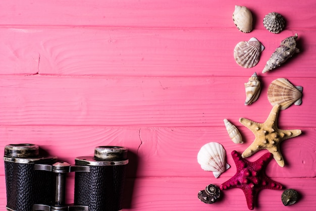 Seashells on pink wooden background