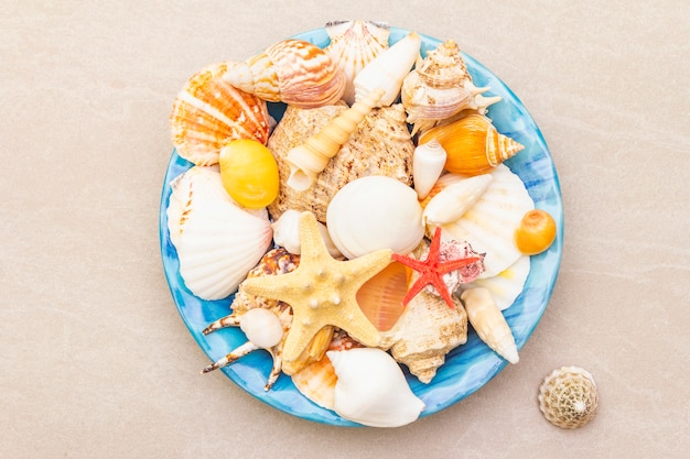 Seashells on plate, top view, summer concept