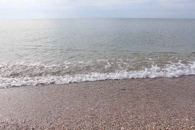 海の波のビーチフジツボに貝殻の砂