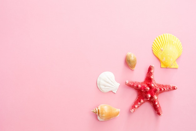 Seashells and star symbol of summer holiday on the beach on a pink background.