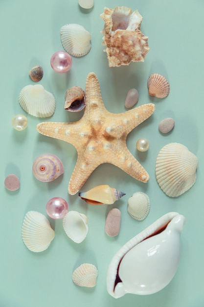 Foto stella di mare con conchiglie e perle su uno sfondo chiaro