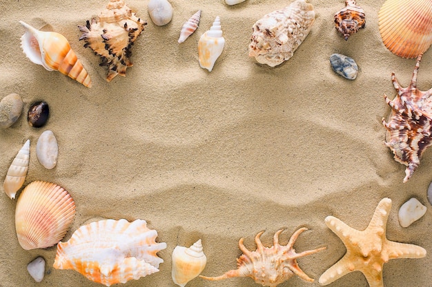 Seashells, starfish and sea pebbles frame on beach sand background. Natural seashore textured surface, top view, copy space