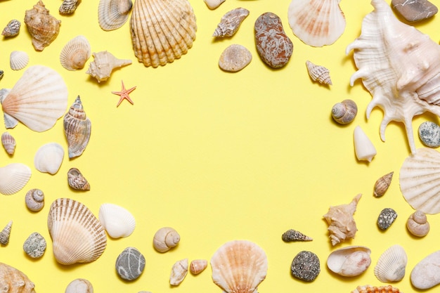 Seashells starfish and sea rock frame on yellow background\
natural seashore textured surface top view copy space minimal\
simple summer time concept