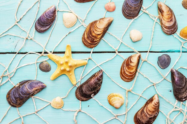 Photo seashells and starfish, summer composition