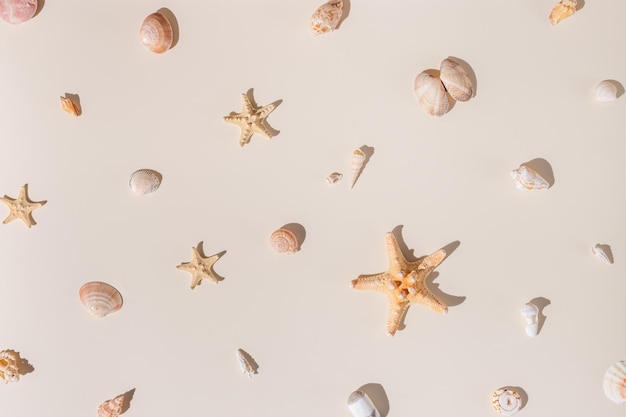 Seashells and starfish with hard shadows on beige background Summer concept Nautical pattern
