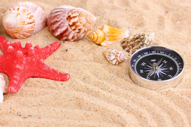 Photo seashells and starfish with kompass on sand closeup