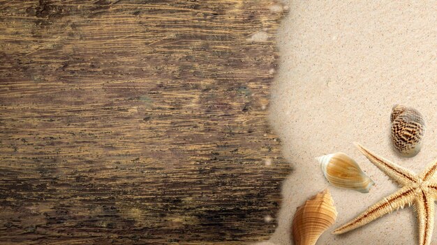 Seashells and starfish with wooden floors on the sandy beach