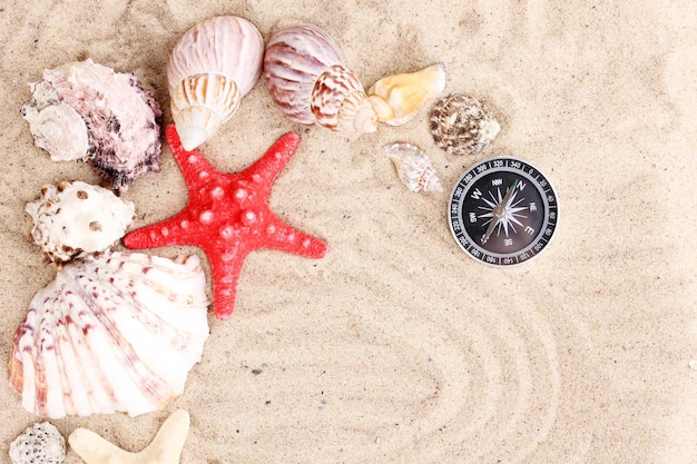 Photo seashells and starfishes with kompass on sand