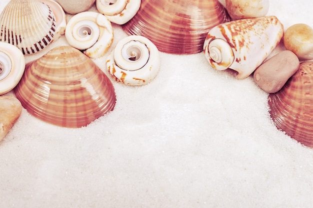 Photo seashells and stones on sand with space for text. summer sea.