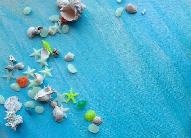 Seashells summer background Many different seashells starfish on a background of turquoise paint strokes Place for text