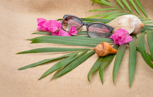 Photo seashells and sunglasses on a brown background