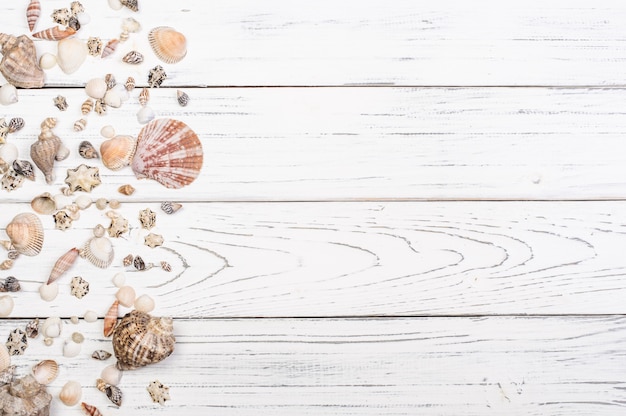 Seashells on white wood planks with copy space