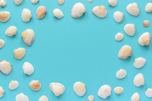 Seashells with copy space for text on blue paper background.