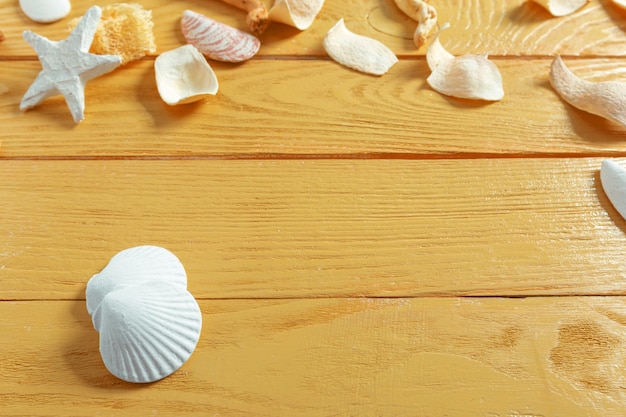 Seashells on wood