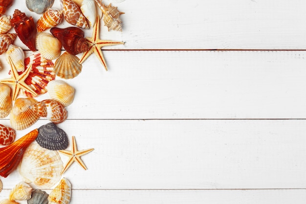 Seashells on wooden.