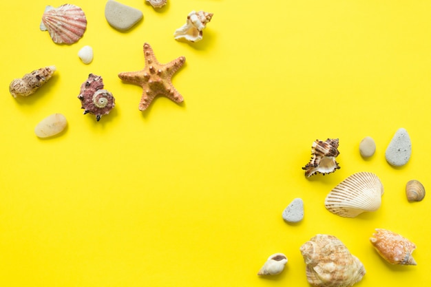 Seashells on a yellow background. Summer vacation composition idea. flat lay