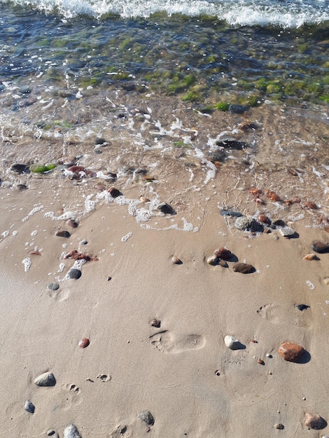 Foto la spiaggia e le impronte nella sabbia