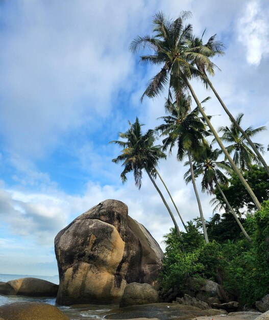 海岸