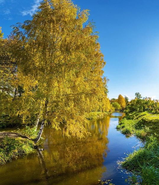 Seaside Park in St Petersburg in autumn Krestovsky Island