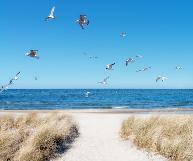 Seaside in Rugen island, Northern Germany