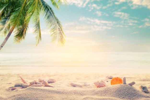 Photo seaside summer beach with starfish, shells, coral on sandbar and blur sea background. concept of summertime on beach. vintage color tone.