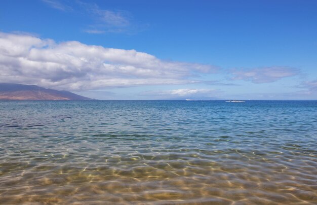 ビーチの夏休みの背景の海辺の景色