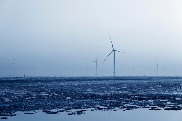 Seaside wind power