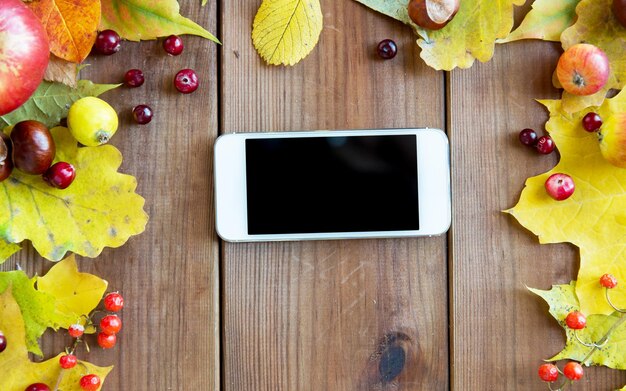 season, advertisement and technology concept - close up of smartphone in frame of autumn leaves, fruits and berries on wooden table