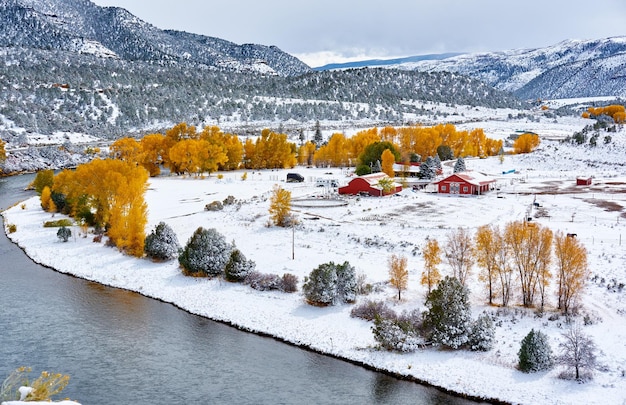 Season changing first snow and autumn trees